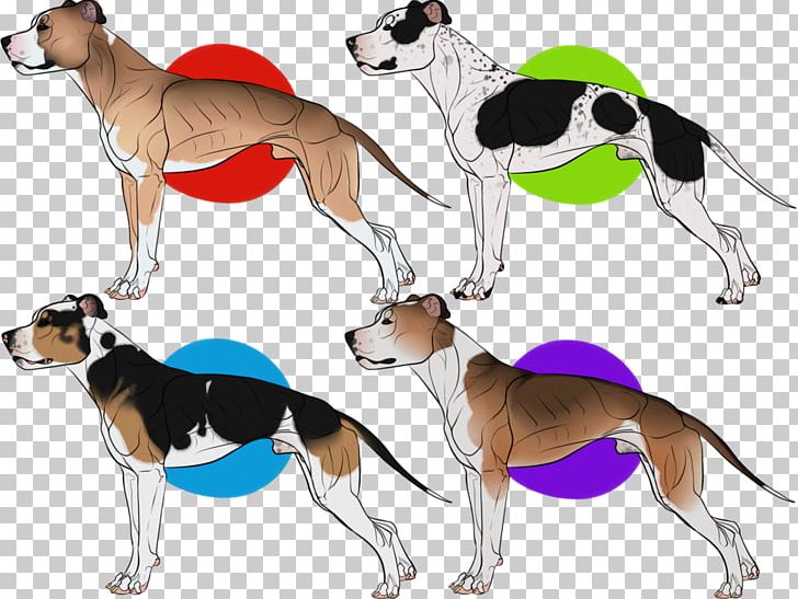 Whippet Italian Greyhound Spanish Greyhound English Foxhound PNG, Clipart, 08626, Breed, Carnivoran, Dog, Dog Breed Free PNG Download
