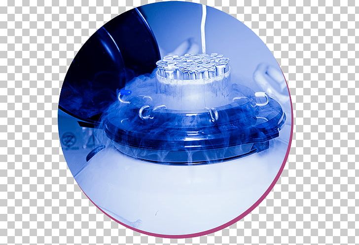 Artificial Insemination Laboratory Liquid Nitrogen Semen PNG, Clipart, Artificial Insemination, Azot, Blue, Cobalt Blue, Fertilisation Free PNG Download
