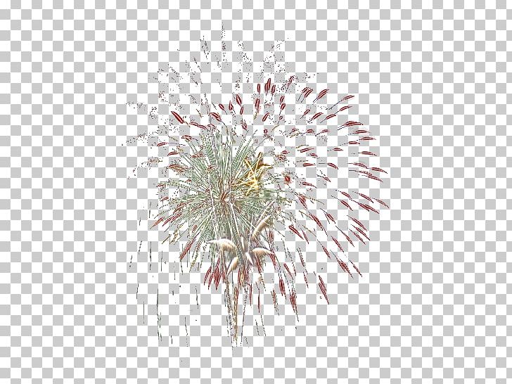 Fireworks PhotoFiltre PNG, Clipart,  Free PNG Download