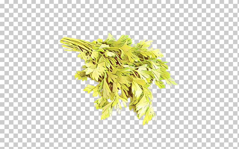 Plant Yellow Leaf Flower Tree PNG, Clipart, Flower, Leaf, Plant, Tree, Yellow Free PNG Download