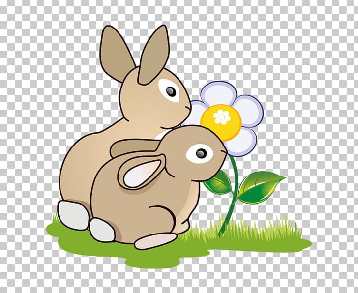 Domestic Rabbit Hare European Rabbit Easter Bunny PNG, Clipart, Animals, Animated, Cartoon, Domestic Rabbit, Drawing Free PNG Download