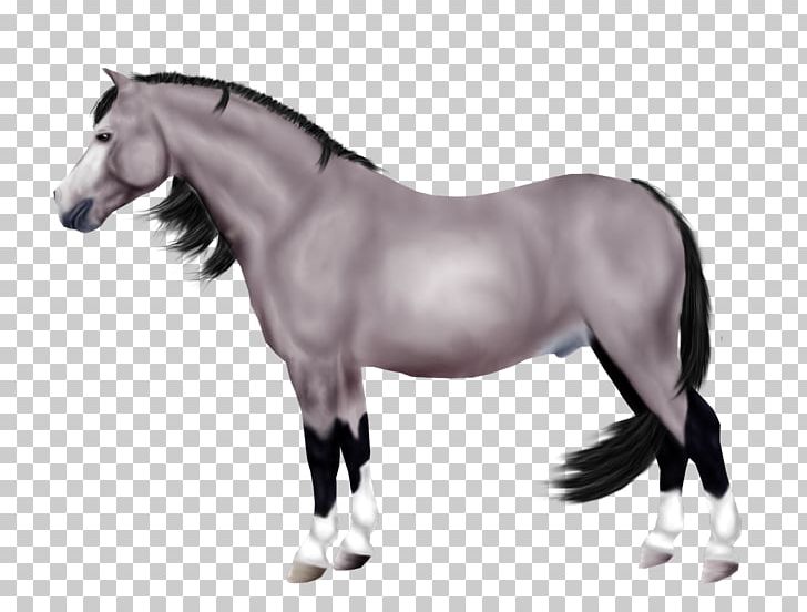 Mane Mustang Stallion Mare Pony PNG, Clipart, Cancel, Colt, Colts Manufacturing Company, Dog Harness, Florida Kraze Krush Soccer Club Free PNG Download