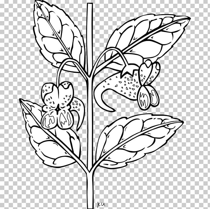 Plant Black And White PNG, Clipart, Area, Branch, Brush Footed Butterfly, Color, Fictional Character Free PNG Download