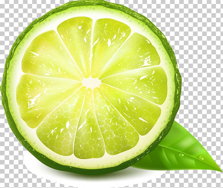 Juice Lemon Green Euclidean PNG, Clipart, Background Green, Bitter Orange, Citrus, Decorative, Encapsulated Postscript Free PNG Download