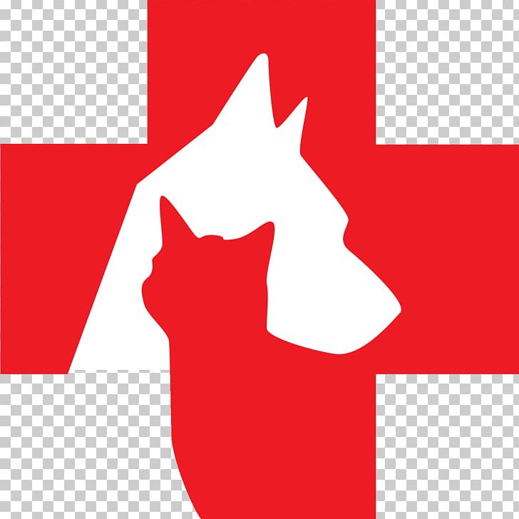 The Oaks Veterinary Medical & Emergency Referral Centre Whiskers Cat Veterinarian Dog PNG, Clipart, Amp, Angle, Animals, Area, Carnivoran Free PNG Download
