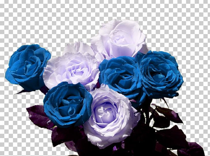 Blue Rose Garden Roses Cabbage Rose Flower Bouquet PNG, Clipart, Artificial Flower, Blue, Blue Rose, Cut Flowers, Floral Design Free PNG Download
