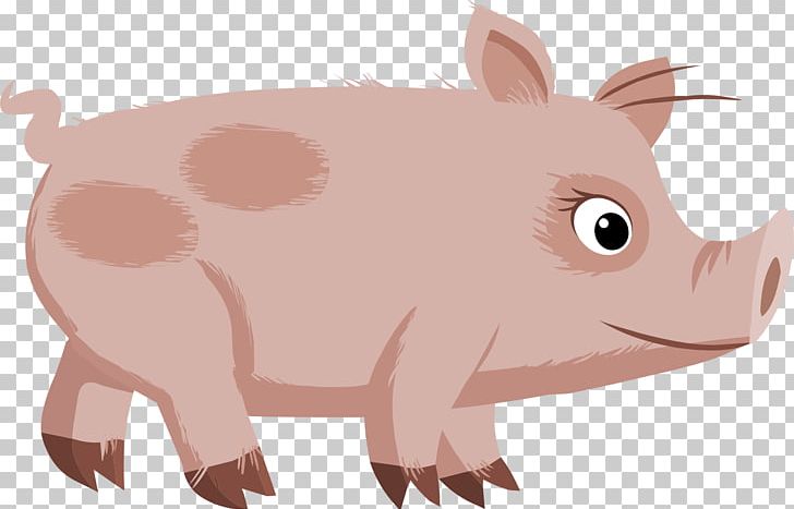 Domestic Pig PNG, Clipart, Animals, Carnivoran, Cartoon, Computer Icons, Desktop Wallpaper Free PNG Download