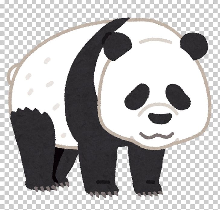 Giant Panda Ueno Zoo Bear いらすとや Xiang Xiang PNG, Clipart, Animal, Animals, Bear, Carnivoran, Giant Panda Free PNG Download
