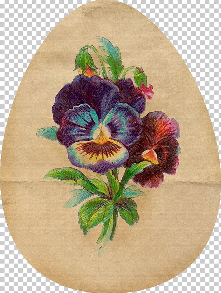 Pansy Floral Design Flower Art PNG, Clipart, Art, Botanical Illustration, Chai, Cut Flowers, Dishware Free PNG Download