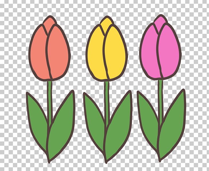 Tulip Plant Stem Petal PNG, Clipart, Artwork, Bud, Color, Dandelion, Flower Free PNG Download