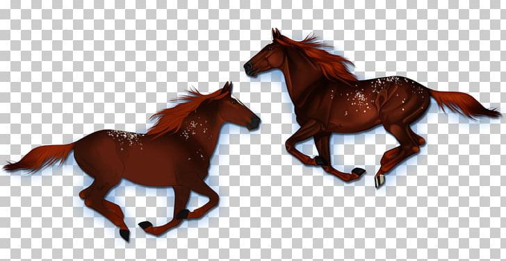 Brumby Kaimanawa Horse Mustang Stallion Equestrian PNG, Clipart, Animal Figure, Barrel Racing, Bridle, Brumby, Colt Free PNG Download