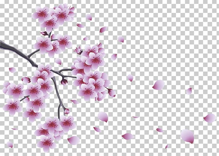 Flower Tree Branch PNG, Clipart, Bloom, Bloom Tree Cliparts, Blossom, Branch, Cherry Blossom Free PNG Download