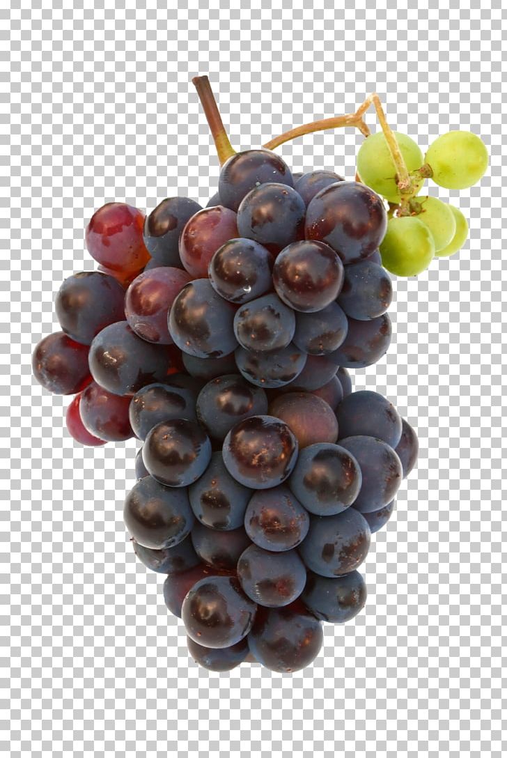 Grape Fruit Resolution Portable Network Graphics PNG, Clipart, 1 St, Desktop Wallpaper, Display Resolution, Food, Fruit Free PNG Download