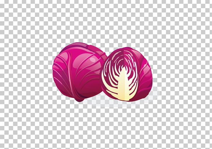 Red Cabbage Vegetable PNG, Clipart, Cabbage, Cabbage Leaves, Cabbage Roses, Cabbage Vector, Circle Free PNG Download
