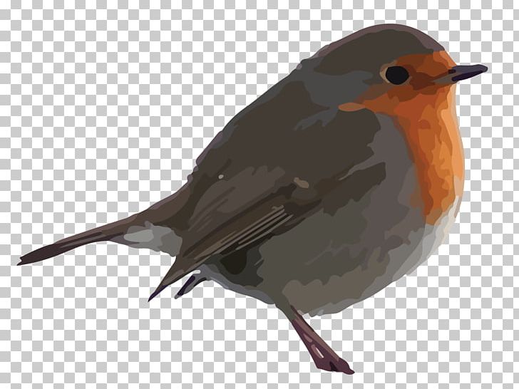 European Robin Bird Old World Flycatcher Common Nightingale American Sparrows PNG, Clipart, American Robin, American Sparrows, Animation, Beak, Bird Free PNG Download