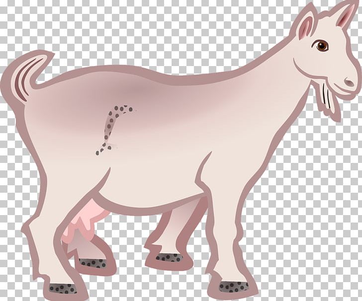 Boer Goat Line Art Sheep PNG, Clipart, Animals, Boer Goat, Camel Like Mammal, Carnivoran, Cartoon Free PNG Download
