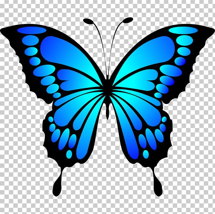 Butterfly Insect Color PNG, Clipart, Black Butterfly, Blue, Brush Footed Butterfly, Butterflies And Moths, Butterfly Free PNG Download