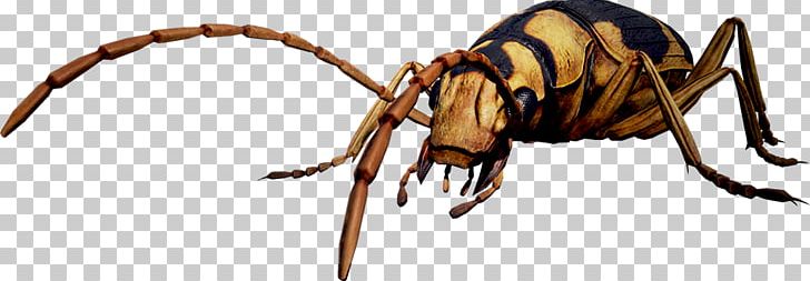 Earth Defense Force: Iron Rain Insect PlayStation 4 D3 Publisher Shooter Game PNG, Clipart, Action Game, Animal Figure, Arachnid, Arthropod, D3 Publisher Free PNG Download
