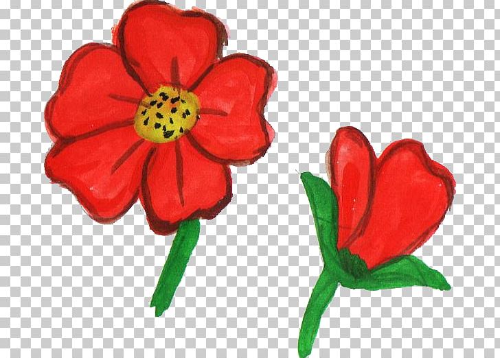 Flowering Plant Cut Flowers Plant Stem Red PNG, Clipart, Cut Flowers, Flower, Flowering Plant, Herbaceous Plant, Nature Free PNG Download