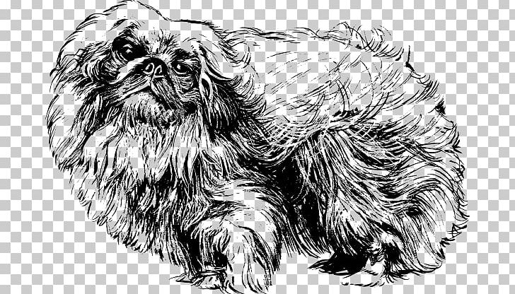 Pekingese Shih Tzu Papillon Dog Pomeranian Lhasa Apso PNG, Clipart, Affe, Artwork, Black And White, Breed, Carnivoran Free PNG Download