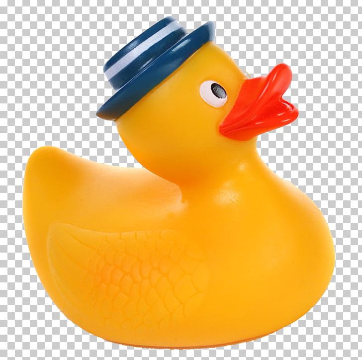 Rubber Duck Natural Rubber PNG, Clipart, Beak, Bird, Clip Art, Computer, Computer Icons Free PNG Download