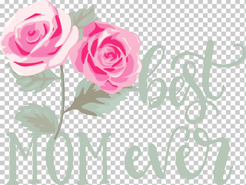 Mothers Day Best Mom Ever Mothers Day Quote PNG, Clipart, Best Mom Ever, Blue Rose, Cabbage Rose, Cut Flowers, Floral Design Free PNG Download