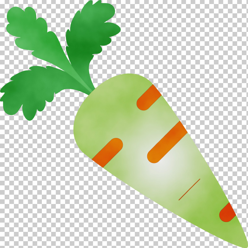 Green Leaf Carrot Plant Vegetable PNG, Clipart, Carrot, Green, Leaf, Leaf Vegetable, Paint Free PNG Download