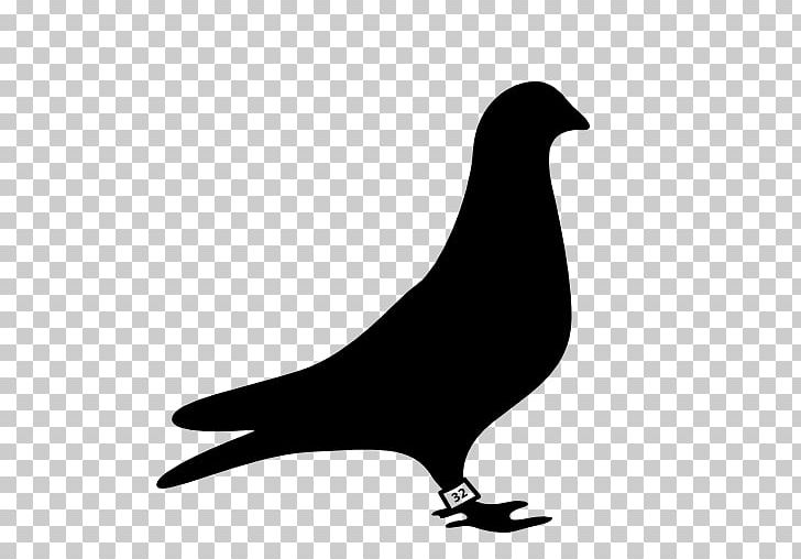 Columbidae Silhouette Icon Design Computer Icons PNG, Clipart, Animals, Beak, Bird, Black And White, Columbidae Free PNG Download