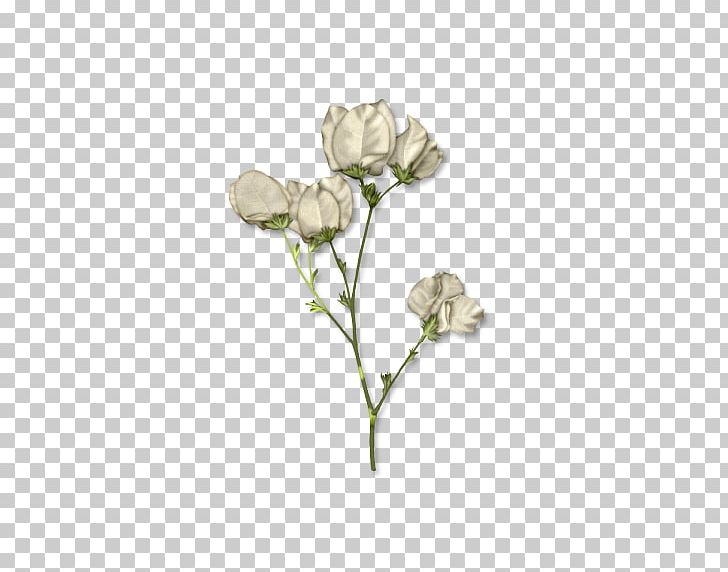 White TinyPic PNG, Clipart, Background White, Beige, Black And White, Black White, Branch Free PNG Download