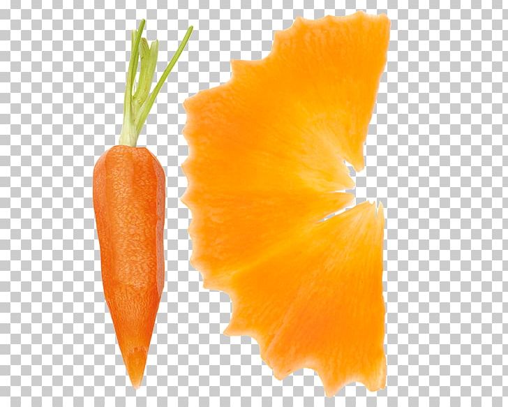 Baby Carrot Gemüseschneider Citrus × Sinensis Vegetable PNG, Clipart, Baby Carrot, Carrot, Carteira Escolar, Centimeter, Citrus Sinensis Free PNG Download