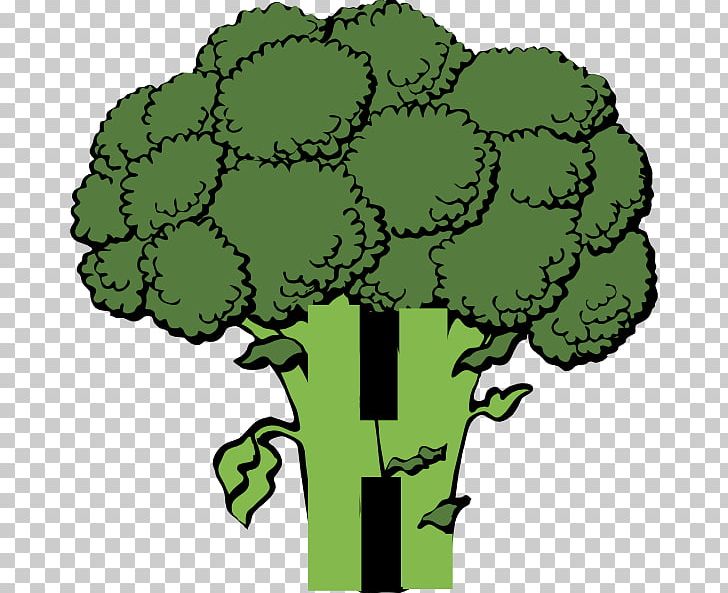 Broccoli Vegetable PNG, Clipart, Broccoli, Broccoli Cliparts, Cartoon, Download, Drawing Free PNG Download