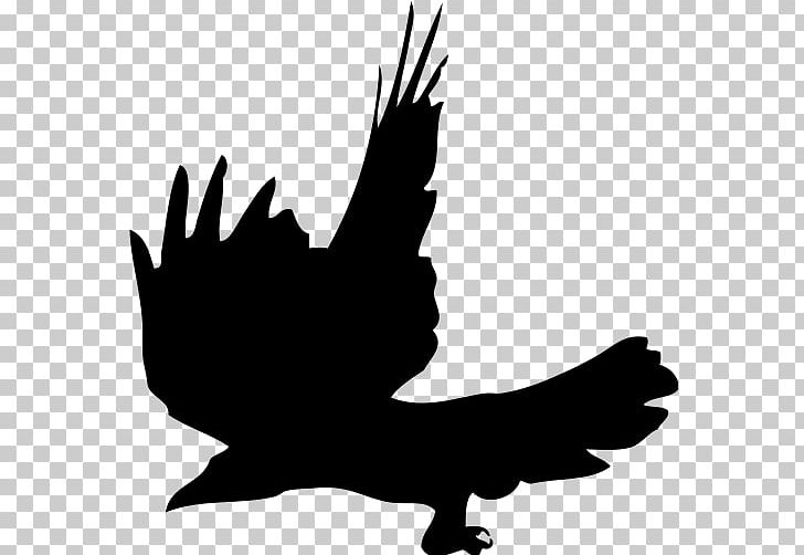 Crow Silhouette Beak PNG, Clipart, Beak, Bird, Black And White, Chicken, Crow Free PNG Download