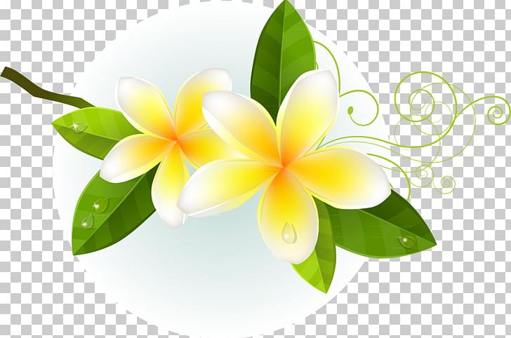 Floral Design Drawing Flower PNG, Clipart, Cicek, Cicekler, Cicek Resimleri, Computer Wallpaper, Download Free PNG Download