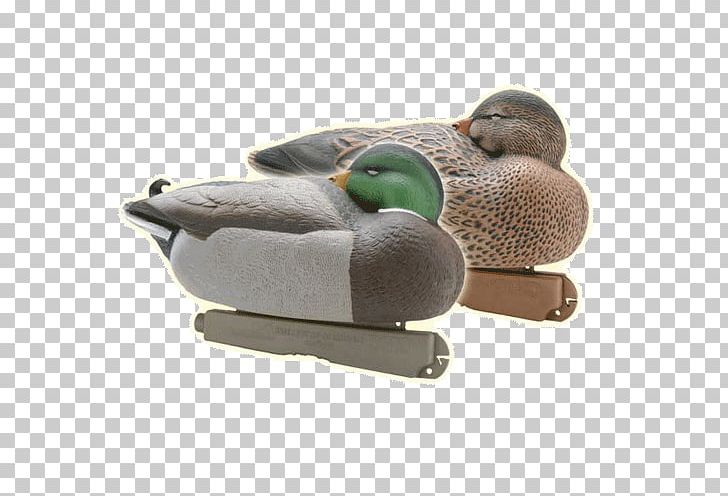 Mallard Duck Decoy Bird Duck Decoy PNG, Clipart, Animals, Bird, Decoy, Duck, Duck Decoy Free PNG Download