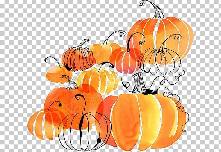 Autumn Harvest Festival Thanksgiving Flyer PNG, Clipart, Cartoon, Citrus, Flower, Food, Fruit Free PNG Download
