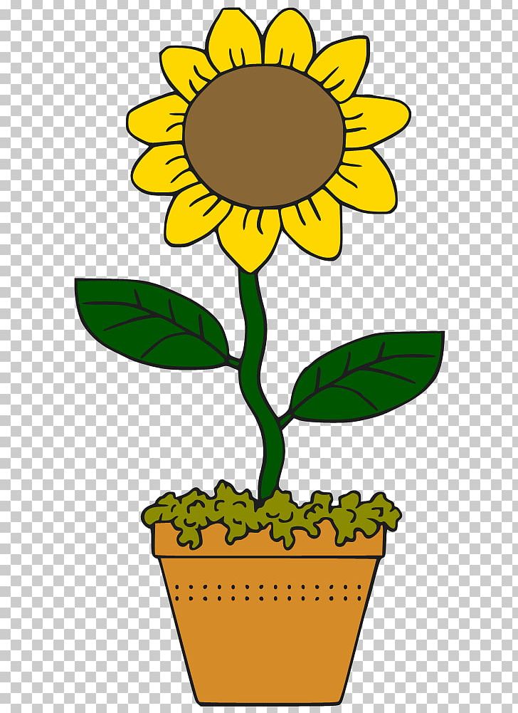 Common Sunflower Cartoon Drawing PNG, Clipart, Animation, Artwork, Black  And White, Cartoon Sunflower Cliparts, Comics Free