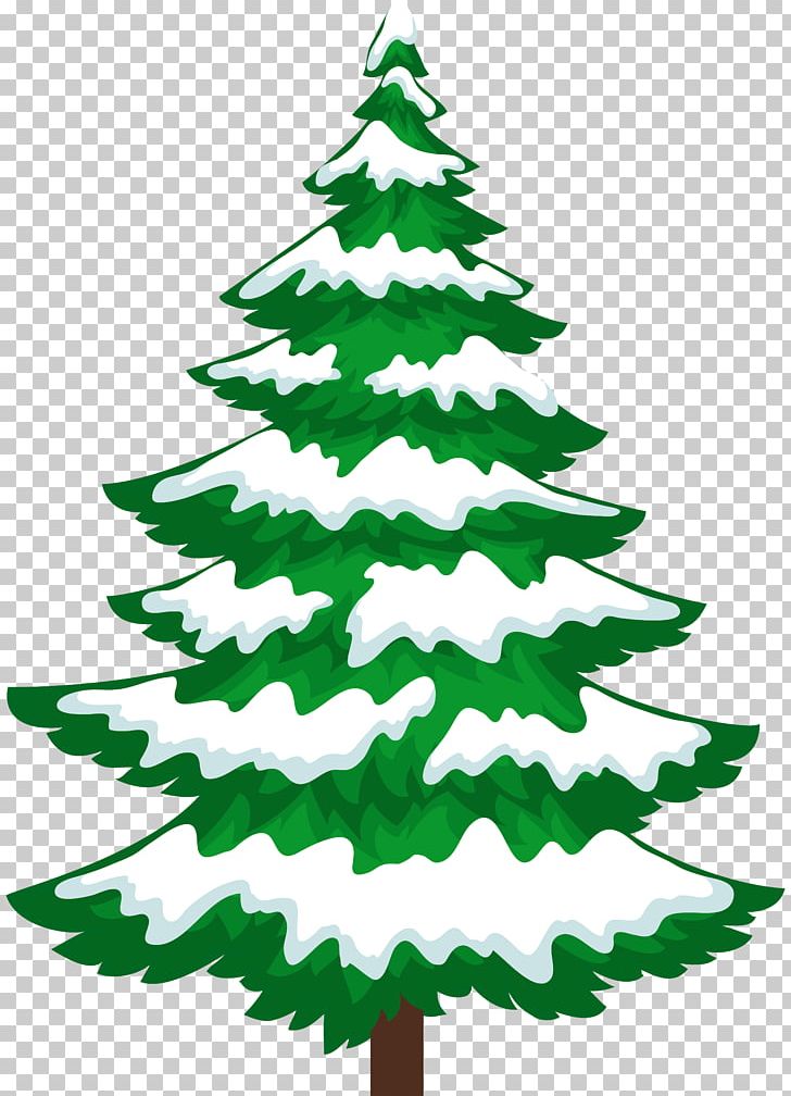 Snow Pine Tree Winter PNG, Clipart, Branch, Christmas, Christmas Decoration, Christmas Ornament, Christmas Tree Free PNG Download