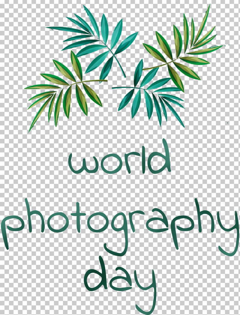 Icon Logo Abstract Art Painting 3d Computer Graphics PNG
