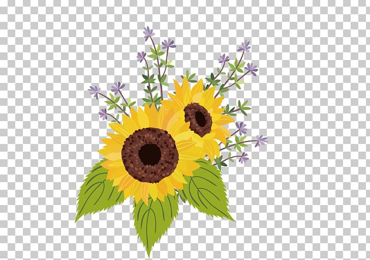 Common Sunflower Sunflower Seed PNG, Clipart, Botany, Computer Icons, Daisy Family, Encapsulated Postscript, Flower Free PNG Download