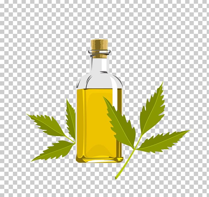 Neem Oil Neem Tree Azadirachtin Seed PNG, Clipart, Alternative Medicine, Bottle, Coconut Oil, Cooking Oil, Cosmetic Free PNG Download
