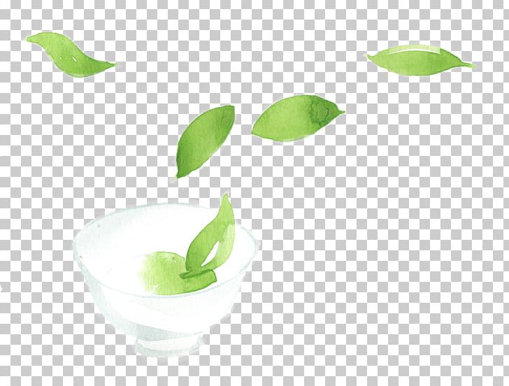 Leaf Green Plant Stem PNG, Clipart, Green, Leaf, Plant, Plant Stem Free PNG Download