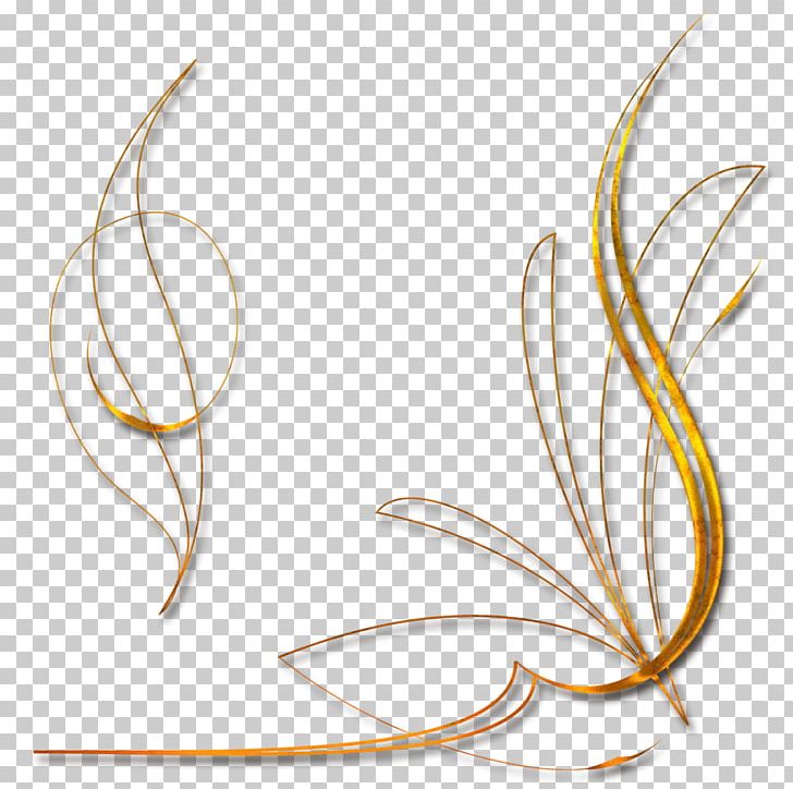 Ornament PNG, Clipart, 29 July, Bracket, Dis, Email, Feather Free PNG Download