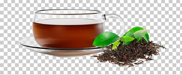 Assam Tea Mate Cocido Green Tea Oolong PNG, Clipart, Aroma, Assam Tea, Black Tea, Caffeine, Chinese Herb Tea Free PNG Download