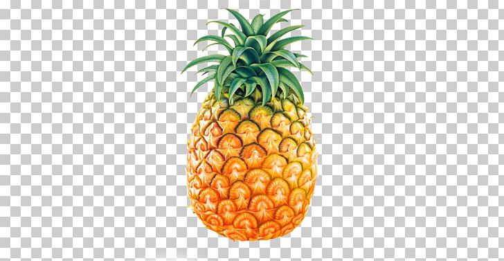 Pineapple Juice Pineapple Juice Salsa PNG, Clipart, Abacaxi, Ananas, Bromeliaceae, Drawing, Food Free PNG Download