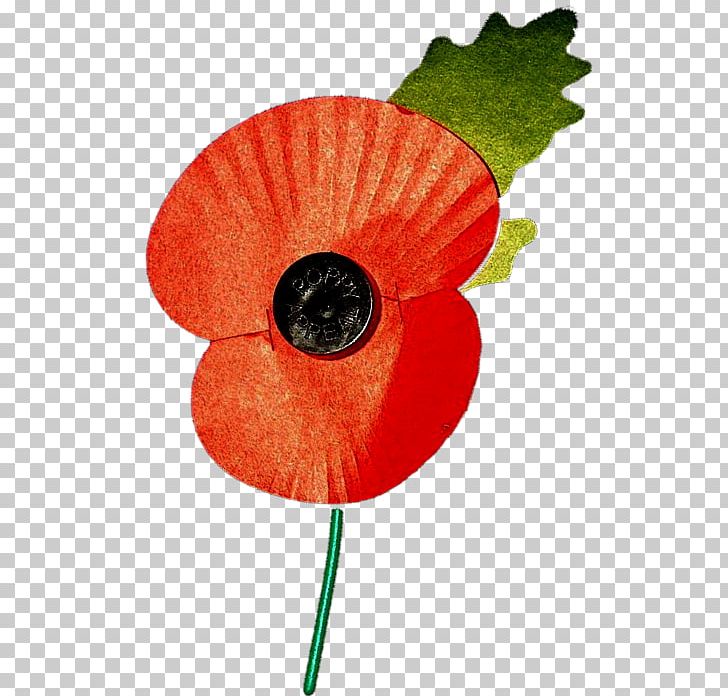 Remembrance Poppy The Royal British Legion Leaf Petal Plant Stem PNG, Clipart, Coquelicot, Flower, Flowering Plant, Leaf, Petal Free PNG Download