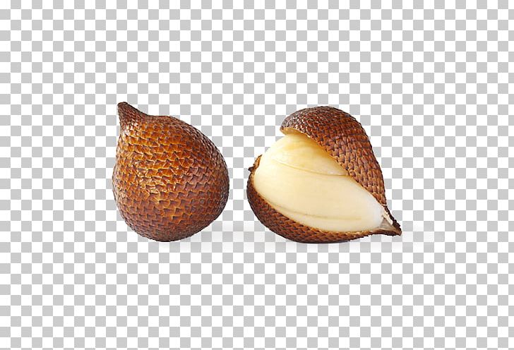 Seed Fruit Salak Pondoh Fried Spider Germination PNG, Clipart, Animals, Arecaceae, Common Fig, Fried Spider, Fruit Free PNG Download