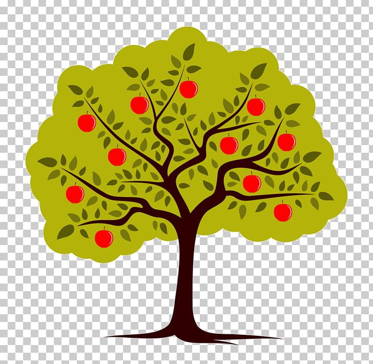 Apple Fruit Tree PNG, Clipart, Apple, Apple Seed Oil, Art, Branch, Clip Art Free PNG Download