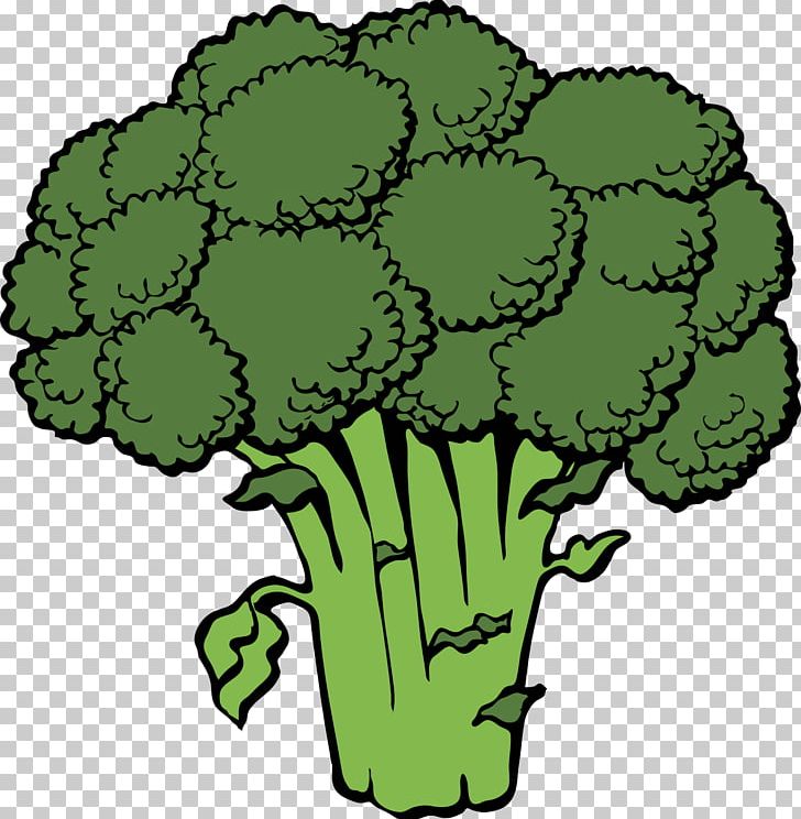 Broccoli Vegetable PNG, Clipart, Background Green, Broccoli, Cabbage, Cartoon, Cauliflower Free PNG Download