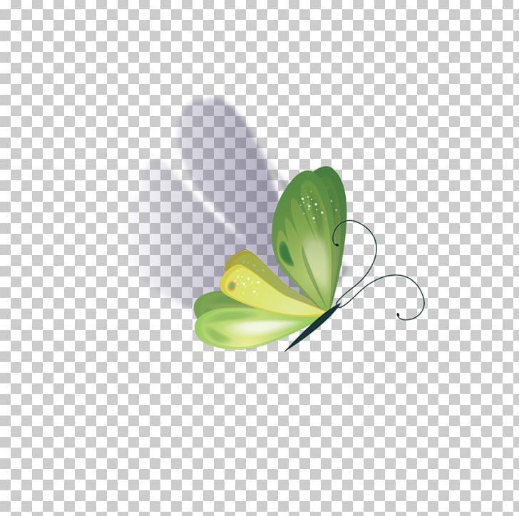 Butterfly Drawing Software PNG, Clipart, Blue Butterfly, Butterflies, Butterflies And Moths, Butterfly Group, Butterfly Vector Free PNG Download