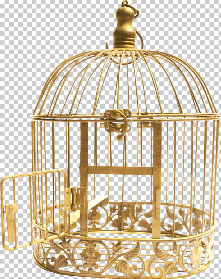 Cell Bird Cage PNG, Clipart, Bird, Brass, Cage, Cell, Database Free PNG Download